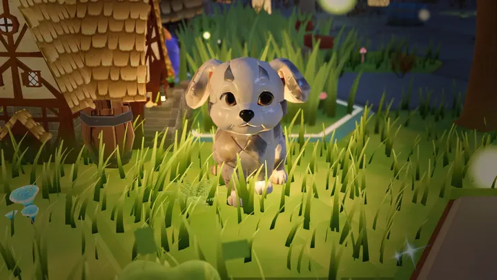 The pup at night